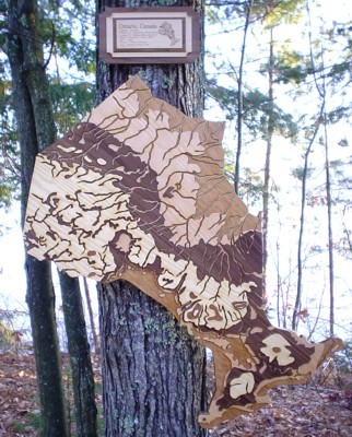 state-map-in-wood